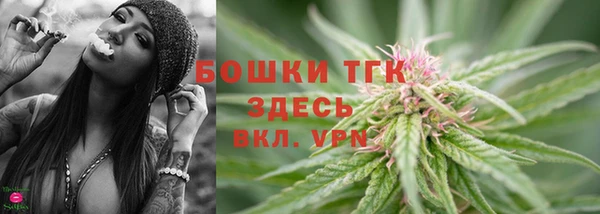 индика Лиски