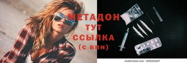 индика Лиски